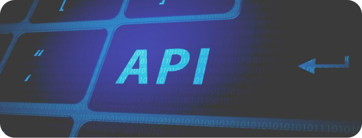 API integration and maintenance