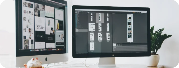 Collaboration with designers and back-end teams